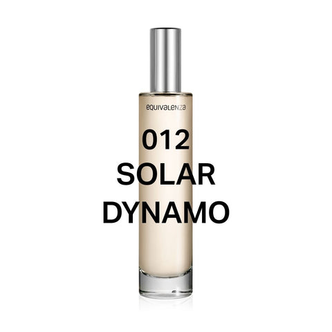 012 Solar Dynamo