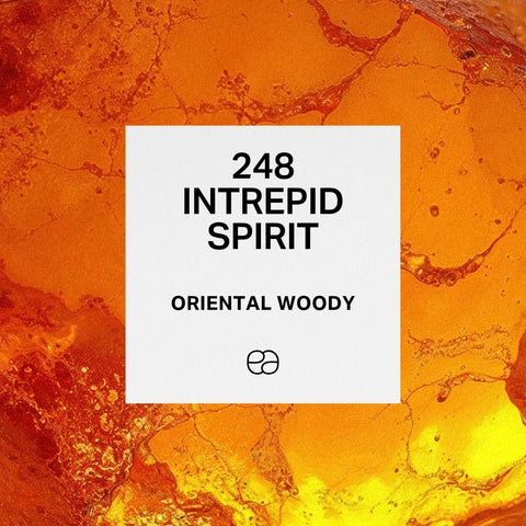 248 Intrepid Spirit