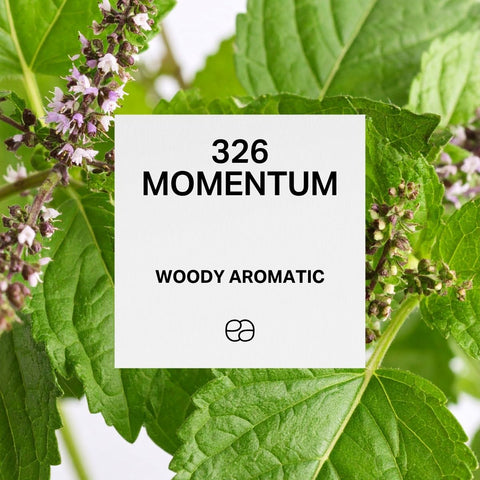 326 Momentum