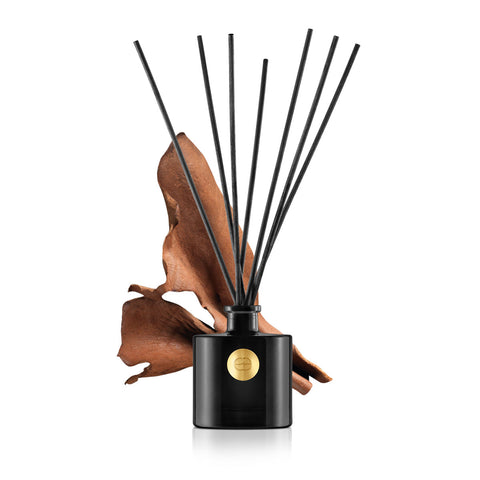 Diffusore Mikado Les Secrets Cuir 383