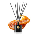 Diffusore Mikado Les Secrets 729 Caramel Sublime