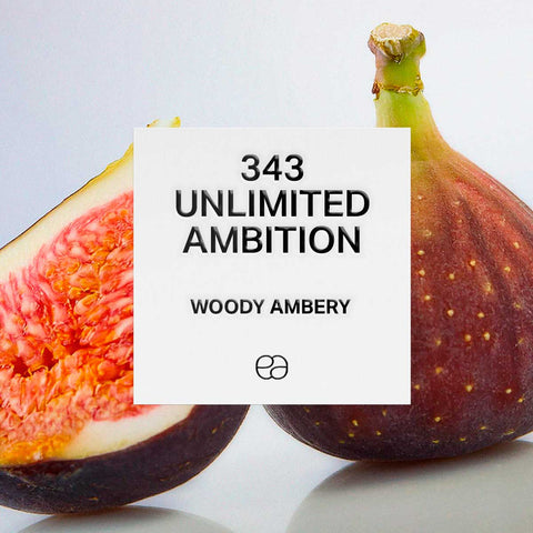 343 Unlimited Ambition